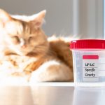 Urin Spezifisches Gewicht (USG) bei Katze und Hund